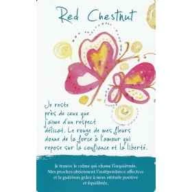 Coffret de 38 cartes Fleurs de Bach par Lucilla Satanassi - 14.5*9cm Mes Fleurs de BACH 8 - mesfleursdebach.com 