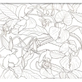 Art-Thérapie et Fleurs de Bach - 38 fleurs à colorier - Lucilla Satanassi Mes Fleurs de BACH 5 - mesfleursdebach.com 