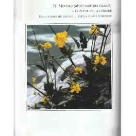 Manuel complet des quintessences florales du Dr Edward Bach de Mechthild Scheffer Mes Fleurs de BACH 8 - mesfleursdebach.com 