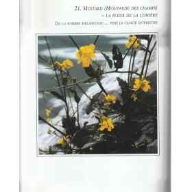 Manuel complet des quintessences florales du Dr Edward Bach de Mechthild Scheffer Mes Fleurs de BACH 2 - mesfleursdebach.com 