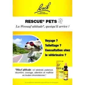 Bach - Rescue Pets Jour 10 ml (animaux) sans alcool compte-gouttes Bach Original Bach Original Nelsons 5 - mesfleursdebach.com 