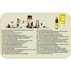 Bach - Rescue Pets Jour 10 ml (animaux) sans alcool compte-gouttes Bach Original Bach Original Nelsons 7 - mesfleursdebach.com 