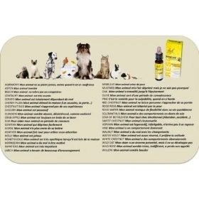 Bach - Rescue Pets Jour 10 ml (animaux) sans alcool compte-gouttes Bach Original Bach Original Nelsons 7 - mesfleursdebach.com 
