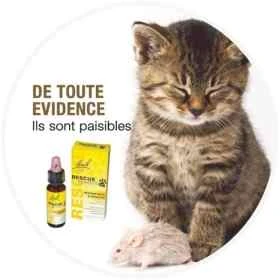 Bach - Rescue Pets Jour 10 ml (animaux) sans alcool compte-gouttes Bach Original Bach Original Nelsons 8 - mesfleursdebach.com 