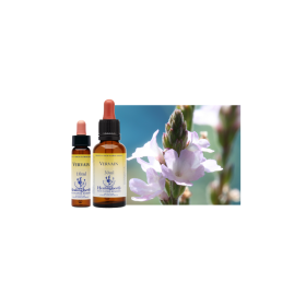 Healing Herbs 10 ml - Coffret plein 38 Fleurs de Bach + 2 Elixirs d'urgence Rescue Healing Herbs 5 - mesfleursdebach.com 