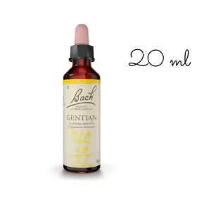 Gentian fleurs de bach original 20 ml (Gentiane) Bach Original Nelsons 1 - mesfleursdebach.com 