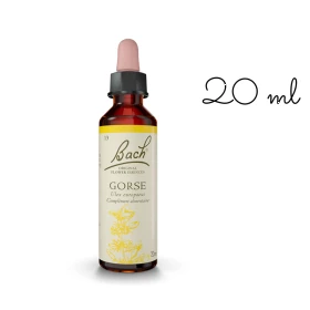 Gorse fleurs de Bach Original 20 ml (Ajonc) Bach Original Nelsons 1 - mesfleursdebach.com 