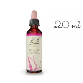 Larch fleurs de Bach Original 20 ml (Mélèze) Bach Original Nelsons 1 - mesfleursdebach.com 