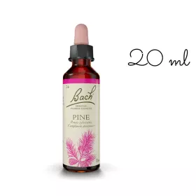 Pine fleurs de Bach Original 20 ml (Pin Sylvestre) Bach Original Nelsons 1 - mesfleursdebach.com 