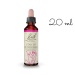 Star of Bethlehem fleurs de Bach Original 20 ml (Étoile de Bethléem)