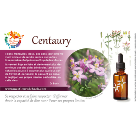 Centaury fleurs de bach original 20 ml (Centaurée) Bach Original Nelsons 10 - mesfleursdebach.com 