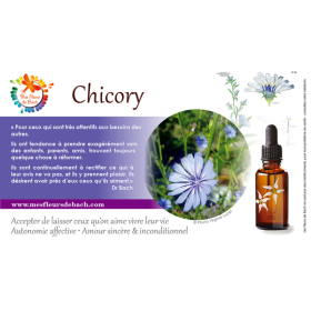 Chicory fleurs de Bach Original 20 ml (Chicorée) Bach Original Nelsons 9 - mesfleursdebach.com 