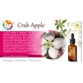 Crab Apple fleurs de bach original 20 ml (Pommier Sauvage) Bach Original Nelsons 9 - mesfleursdebach.com 