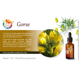 Gorse fleurs de Bach Original 20 ml (Ajonc) Bach Original Nelsons 9 - mesfleursdebach.com 