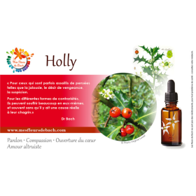 Holly fleurs de Bach Original 20 ml (Houx) Bach Original Nelsons 9 - mesfleursdebach.com 