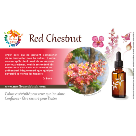 Red Chestnut fleurs de Bach Original 20 ml (Marronnier Rouge) Bach Original Nelsons 9 - mesfleursdebach.com 