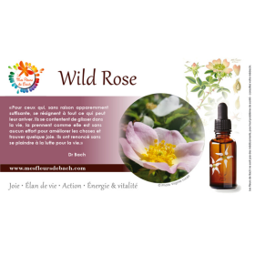 Wild Rose fleurs de bach original 20 ml (Églantine) Bach Original Nelsons 5 - mesfleursdebach.com 