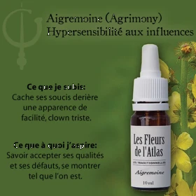 Agrimony Fleurs de l'Atlas 10 ml (Aigremoine) Fleurs de l'Atlas - Sans alcool 3 - mesfleursdebach.com 
