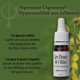 Agrimony Fleurs de l'Atlas 10 ml (Aigremoine) Fleurs de l'Atlas - Sans alcool 3 - mesfleursdebach.com 