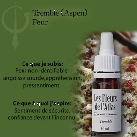 Aspen Fleurs de Bach sans alcool - Fleurs de l'Atlas 10 ml (Tremble) Fleurs de l'Atlas - Sans alcool 3 - mesfleursdebach.com 