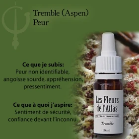 Aspen Fleurs de Bach sans alcool - Fleurs de l'Atlas 10 ml (Tremble) Fleurs de l'Atlas - Sans alcool 3 - mesfleursdebach.com 