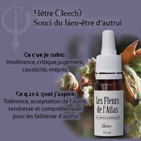 Beech Fleurs de l'Atlas 10 ml (Hêtre) Les Fleurs de l'Atlas 3 - mesfleursdebach.com 