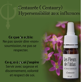 Centaury Fleurs de l'Atlas 10 ml (Centaurée) Les Fleurs de l'Atlas 3 - mesfleursdebach.com 