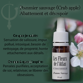 Crab Apple Fleurs de l'Atlas 10 ml (Pommier Sauvage) Les Fleurs de l'Atlas 3 - mesfleursdebach.com 