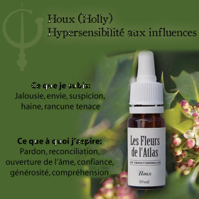 Holly Fleurs de l'Atlas 10 ml (Houx) Les Fleurs de l'Atlas 3 - mesfleursdebach.com 