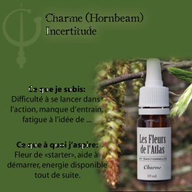 Hornbeam Fleurs de l'Atlas 10 ml (Charme) Les Fleurs de l'Atlas 3 - mesfleursdebach.com 