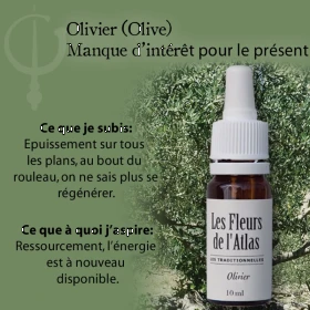Olive Fleurs de Bach sans alcool - Fleurs de l'Atlas 10 ml (Olive) Fleurs de l'Atlas - Sans alcool 5 - mesfleursdebach.com 