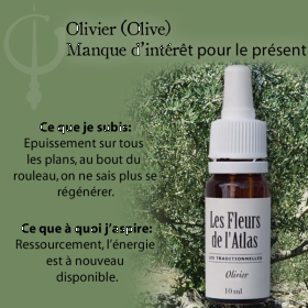 Olive Fleurs de l'Atlas 10 ml (Olive) Les Fleurs de l'Atlas 3 - mesfleursdebach.com 