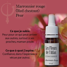 Red Chestnut Fleurs de Bach sans alcool - Fleurs de l'Atlas 10 ml (Marronnier Rouge) Fleurs de l'Atlas - Sans alcool 3 - mesfleu