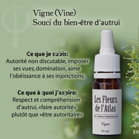 Vine Fleurs de l'Atlas 10 ml (Vigne) Les Fleurs de l'Atlas 3 - mesfleursdebach.com 