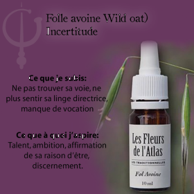 Wild Oat Fleurs de l'Atlas 10 ml (Folle Avoine) Les Fleurs de l'Atlas 3 - mesfleursdebach.com 