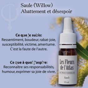Willow Fleurs de Bach Sans Alcool - Fleurs de l'Atlas 10 ml (Saule) Fleurs de l'Atlas - Sans alcool 4 - mesfleursdebach.com 