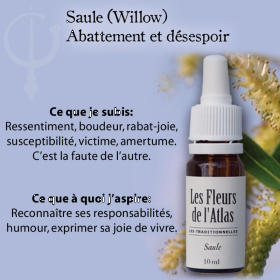 Willow Fleurs de l'Atlas 10 ml (Saule) Les Fleurs de l'Atlas 3 - mesfleursdebach.com 