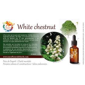 White Chestnut Deva 30 ml (Marronnier Blanc) Deva 3 - mesfleursdebach.com 