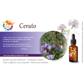 Cerato Deva 30 ml (Plumbago) Deva 3 - mesfleursdebach.com 