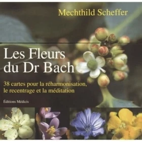 Grandes cartes des 38 fleurs de Bach Mechthild Scheffer 18*18cm Mes Fleurs de BACH 4 - mesfleursdebach.com 