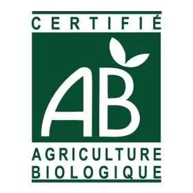 Spray gorge Bio Immuno4 50 ml aux fleurs de Bach Laboratoire Mint-e 9 - mesfleursdebach.com 