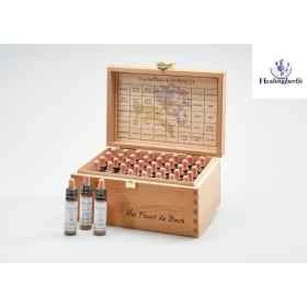 Healing Herbs 10 ml - Coffret en bois plein en bois Cerato 38 fleurs de Bach et 2 élixirs d'urgence Rescue Healing Herbs 1 - mes