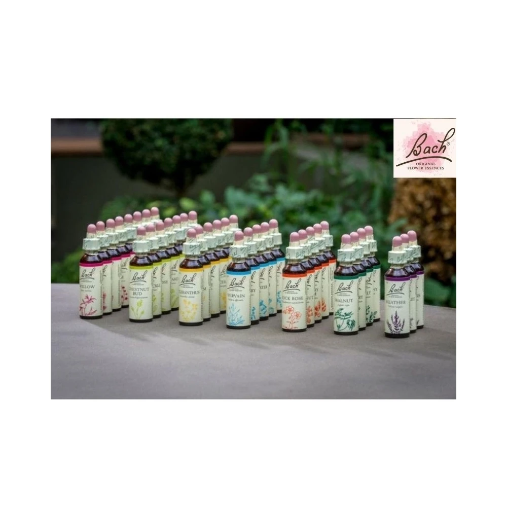 Bach Original 38 + 2 - 38 fleurs de 20ml + 2 Rescue 20ml Bach Original Nelsons 1 - mesfleursdebach.com 