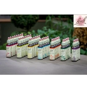 Bach Original 38 + 2 - 38 fleurs de 20ml + 2 Rescue 20ml Bach Original Nelsons 1 - mesfleursdebach.com 