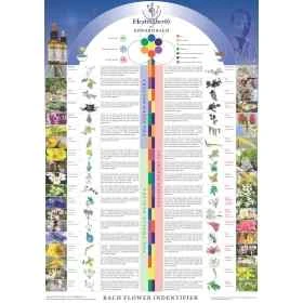 Poster des 38 Fleurs de Bach en anglais par Julian Barnard - 45*32cm Healing Herbs 1 - mesfleursdebach.com 