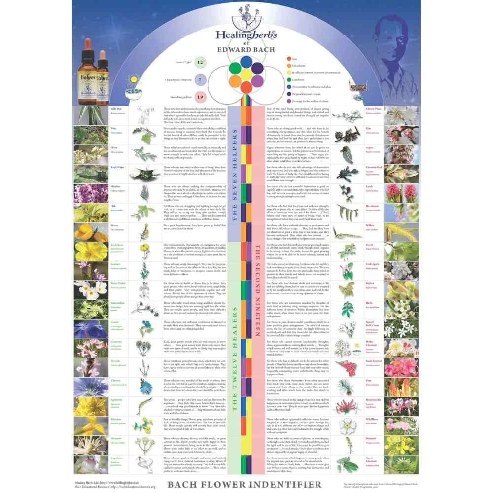 Poster des 38 Fleurs de Bach en anglais par Julian Barnard - 45*32cm Healing Herbs 1 - mesfleursdebach.com Poster des 38 Fleurs de Bach en anglais par Julian Barnard - 45*32cm Healing Herbs 1 - mesfleursdebach.com
