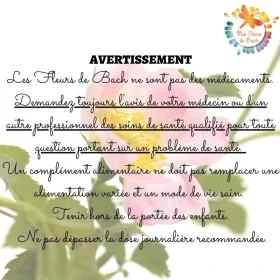 1 Mélange sur base alcoolisée, 1 COMPTE-GOUTTES Fleurs de BACH personnalisé 30ML Mes Fleurs de BACH 1 - mesfleursdebach.com 