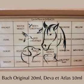 Coffret en bois vide pour Animaux Mes Fleurs de BACH 1 - mesfleursdebach.com 