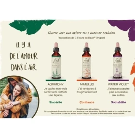 Agrimony fleurs de Bach Original 20 ml (Aigremoine) Bach Original Nelsons 7 - mesfleursdebach.com 