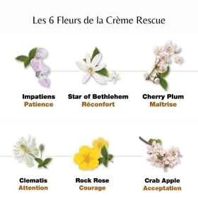 Bach - Crème Rescue 150 ml Bach Original Bach Original Nelsons 13 - mesfleursdebach.com 